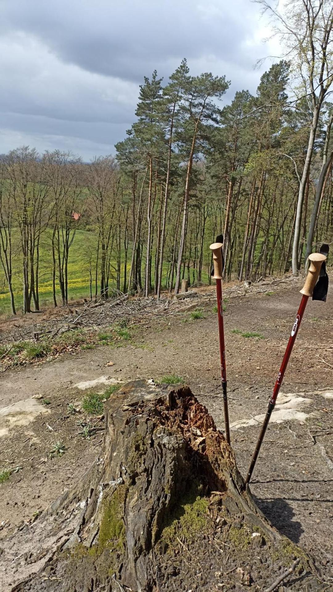 Ferienwohnung Teutoblick Tecklenburg Bagian luar foto